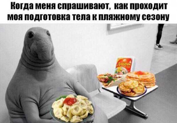 Новые фотомемы с приколами (26 шт)
