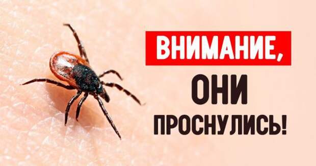 thumb-600x315 (3)