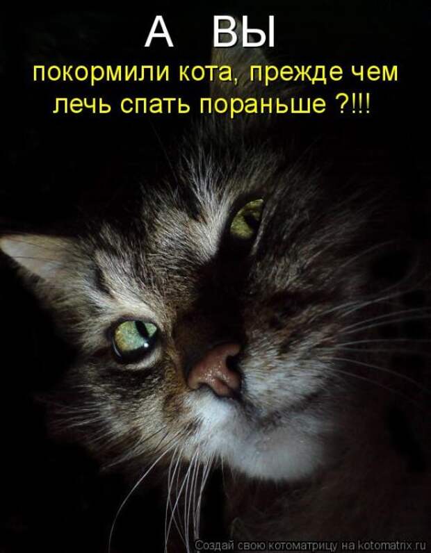Мысли вслух :)