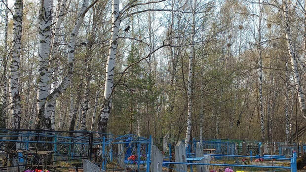 «Пасха мертвых»: иеромонах Феодорит объяснил значение и традиции празднования Радоницы