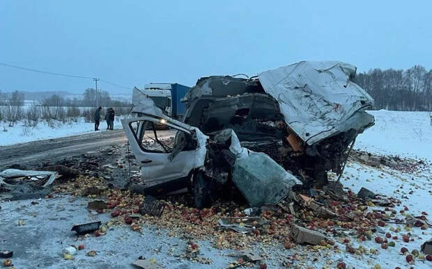 Водитель фургона с яблоками погиб в жестком ДТП на трассе Барнаул — Новосибирск