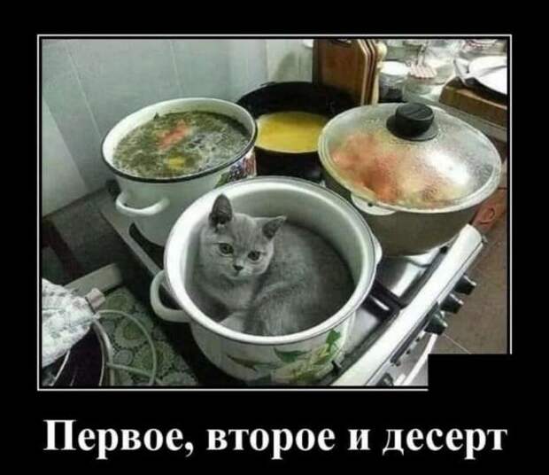 Прикольные демотиваторы с надписями. Подборка chert-poberi-dem-chert-poberi-dem-03530217102020-7 картинка chert-poberi-dem-03530217102020-7