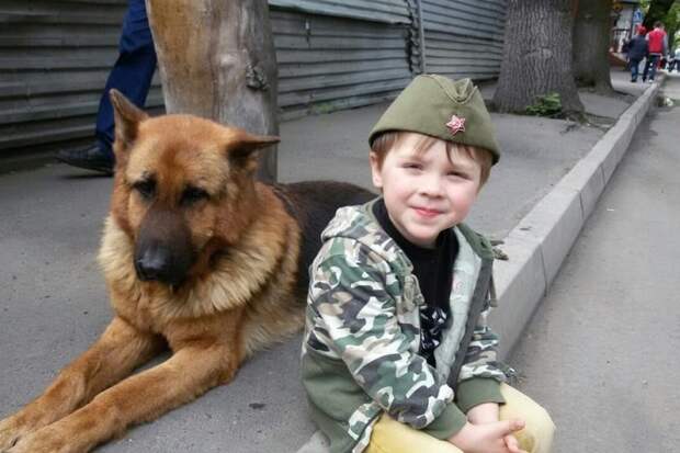 6-летний мальчик и его папа спасли уже больше 100 кошек и собак