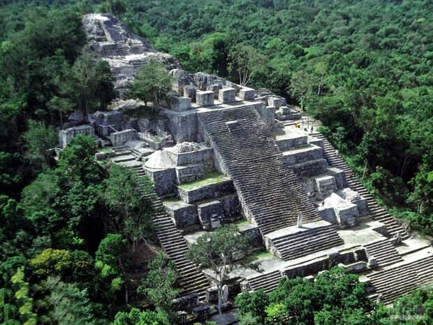 Калакмуль «Королевство змеи», мексиканские пирамиды майя