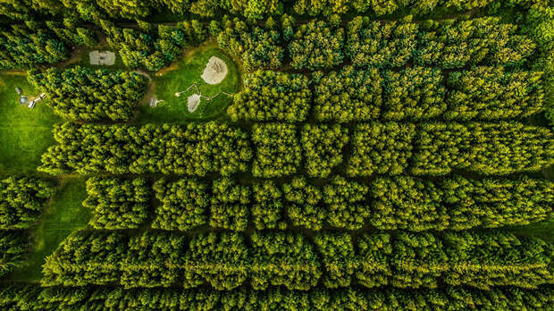 best-drone-photography-2016-dronestagram-contest-16-5783b6d727e0e__880