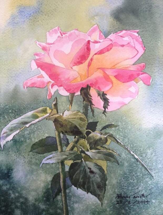 Rose painting: 