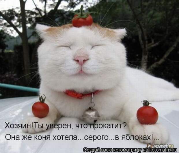 Мысли вслух :)