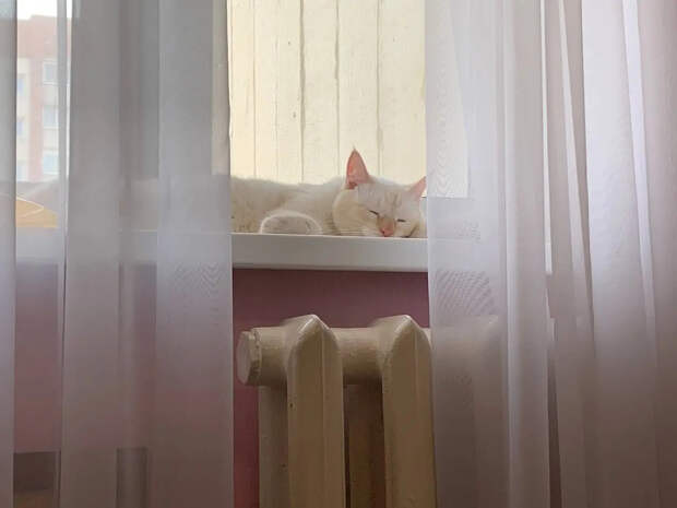 Что делать, если счёт за отопление пришел летом. Куда обращаться