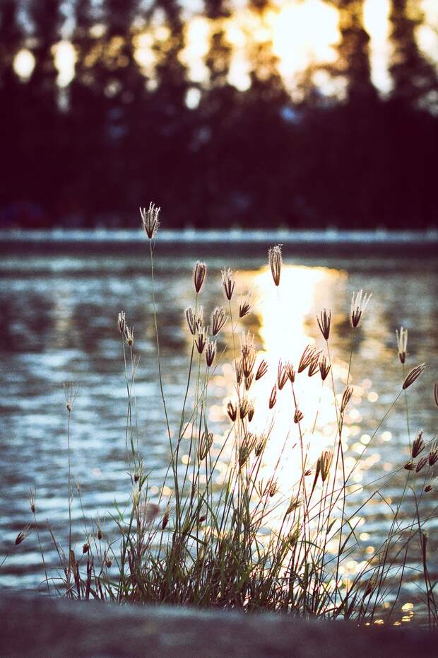 Природа картинки пинтерест