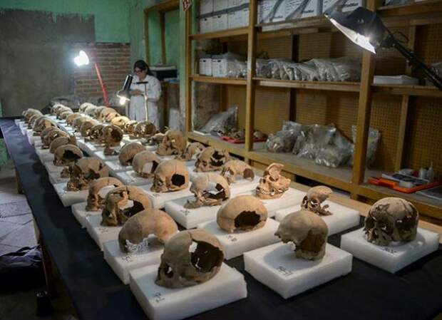 Найдено огромное количество черепов.