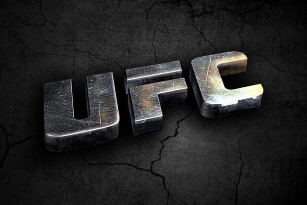 UFC Fight Night 173: Брансон победил Шахбазяна и другие результаты