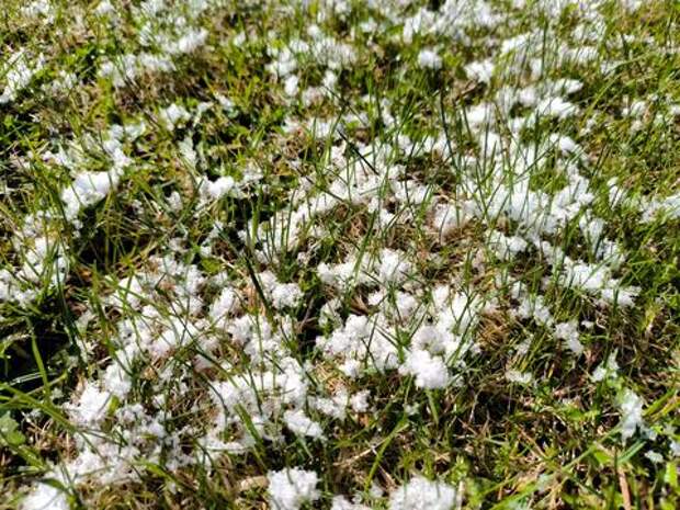 Мороз подкрался незаметно: до -4 градусов прогнозируют в Краснодарском крае