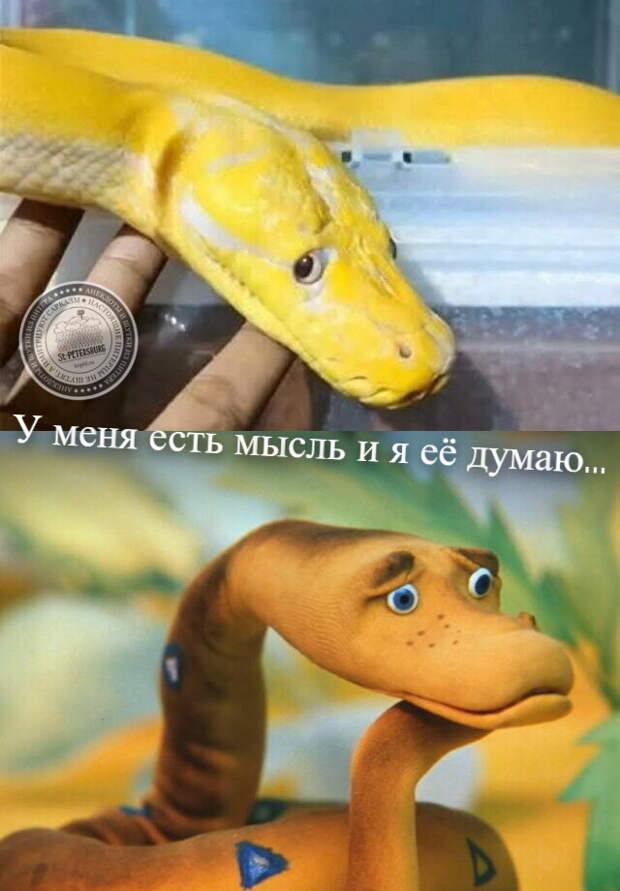 Удав