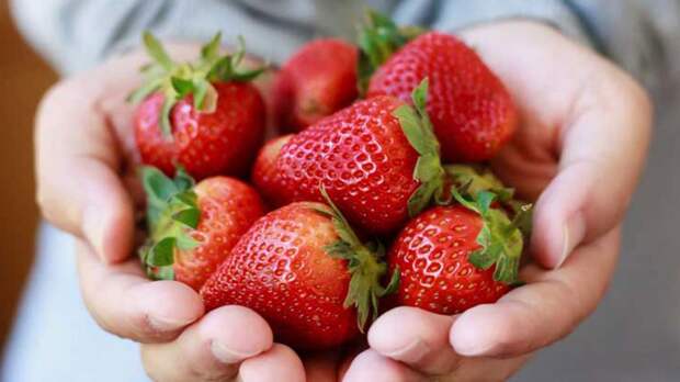 Не только вкусная, но и полезная: 7 причин чаще есть клубнику