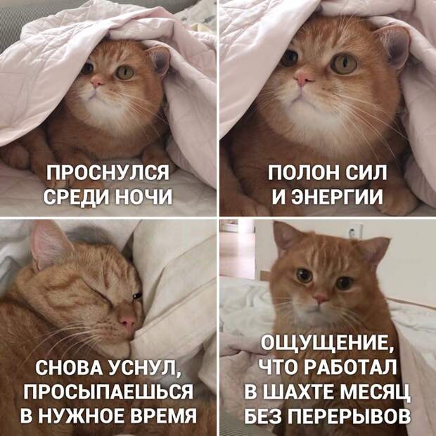 И так каждый раз И так каждый раз