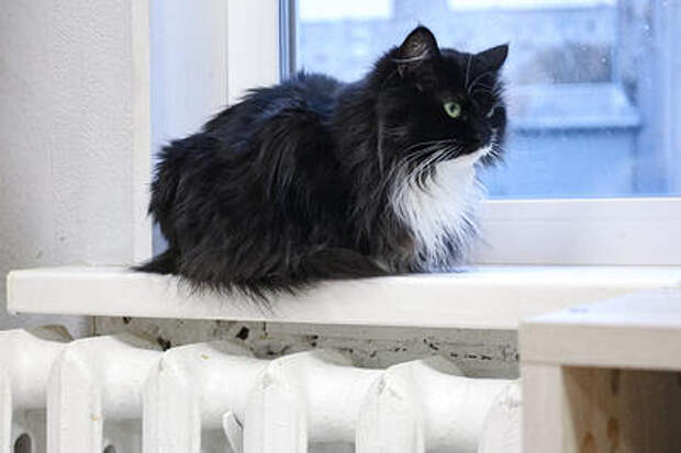 Из-за аварии на сетях в Краснодаре отключили подачу отопления в детские сады, школу и жилые дома