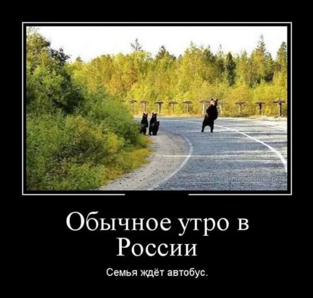 Прикольные демотиваторы с надписями. Подборка chert-poberi-dem-chert-poberi-dem-03530217102020-5 картинка chert-poberi-dem-03530217102020-5