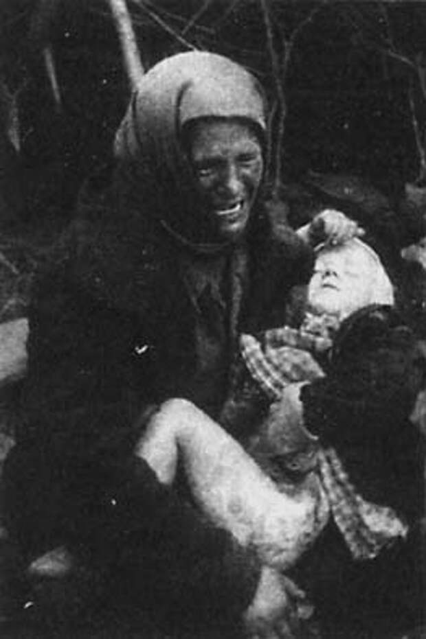 k-voprosu-o-czene-bavarskogo-piva-19