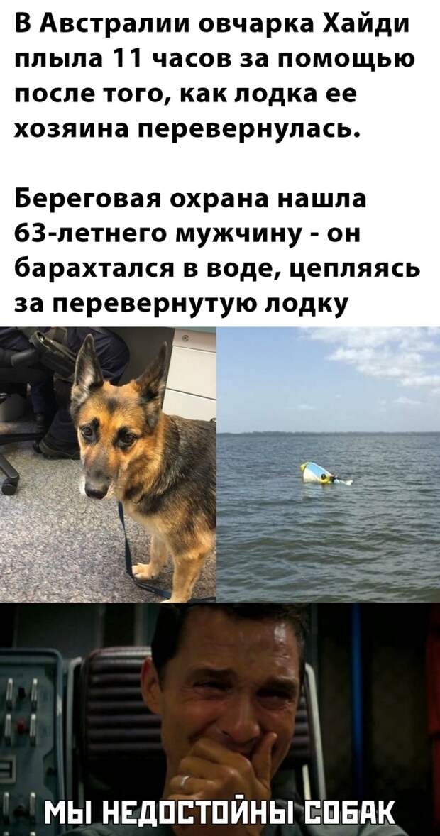 www.vsyako.net