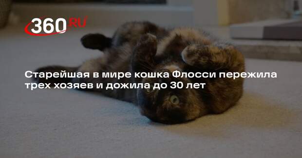 Старейшая в мире кошка Флосси пережила трех хозяев и дожила до 30 лет