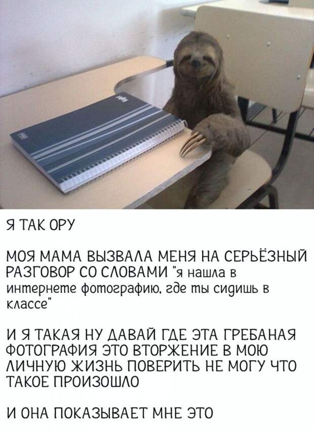 Шутки и мемы для грустных людей