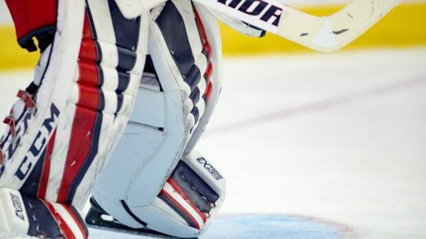 Hockey goalie pads