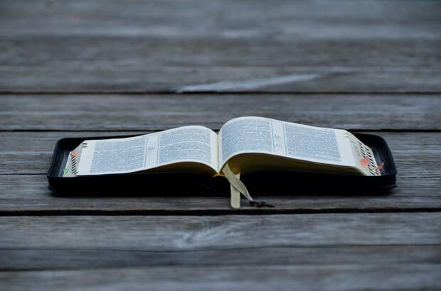 Названо самое популярное слово в русском языке