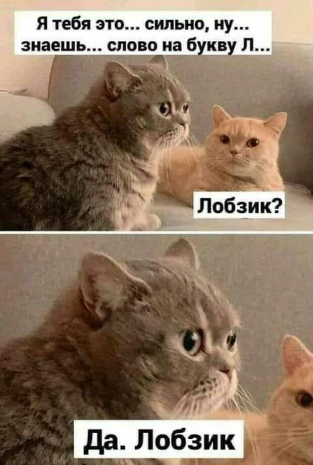 Свежие веселые картинки