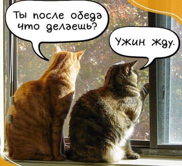 Донецкая группа новостей, Донецк ДНР