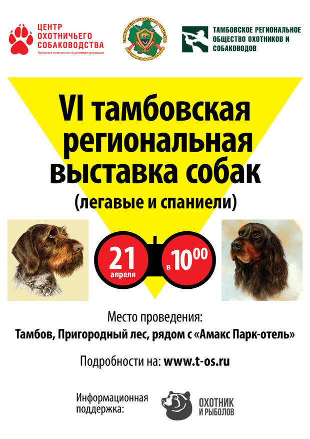 Всероссийская выставка легавых и ретриверов памяти и. Выставка собак 2022. Выставка собак старый оскол 2024. Выставка собак старый оскол 2024. На выставке собак.
