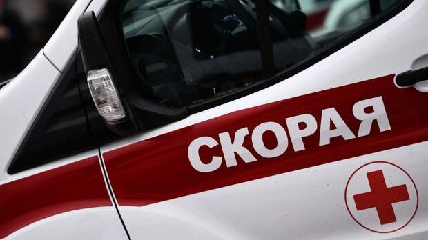 Стая собак напала на девочку в городе Игарке Красноярского края