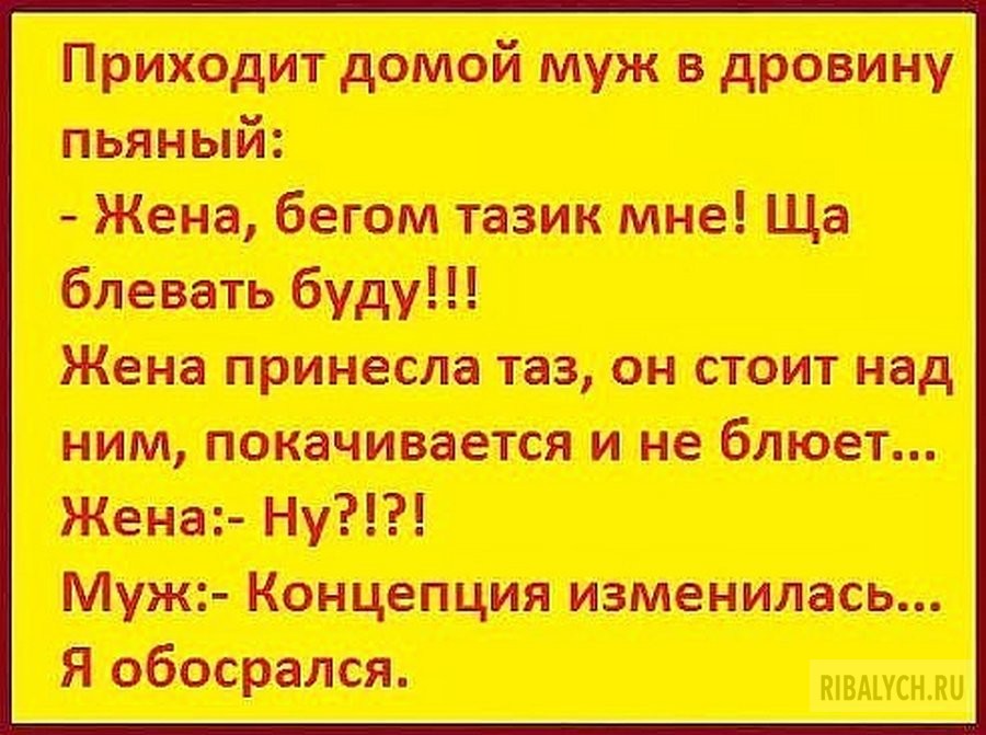 воскресный юмор