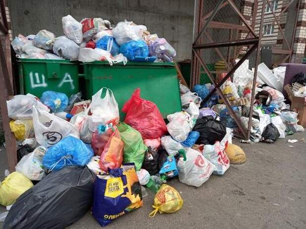 От петербуржцев за день поступило 352 жалобы на мусор