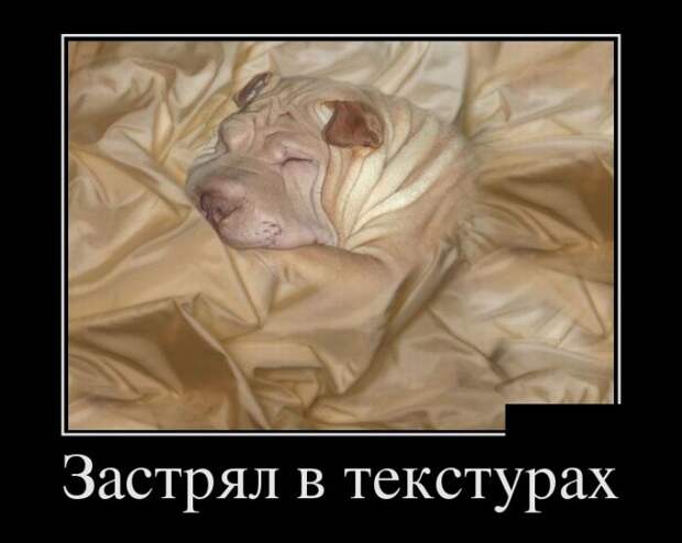 Демотиваторы (30 фото)