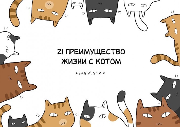 Преимущества жизни с котом