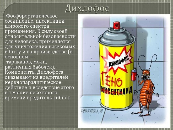 Дихлофос: описание, как пользоваться