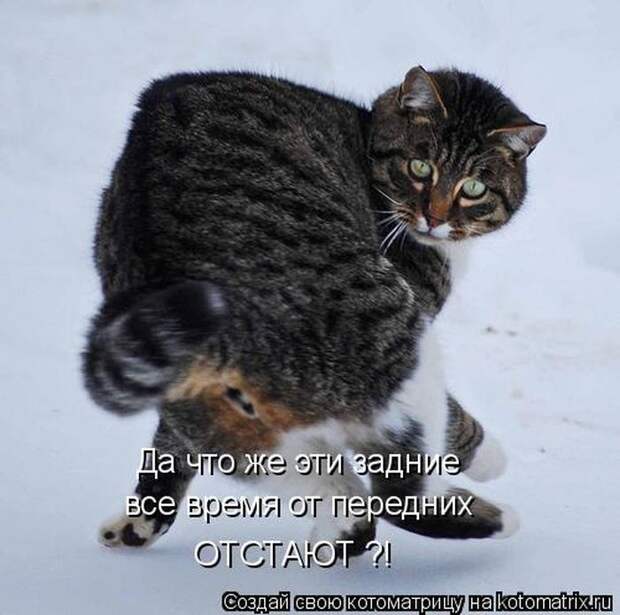 Мысли вслух :)