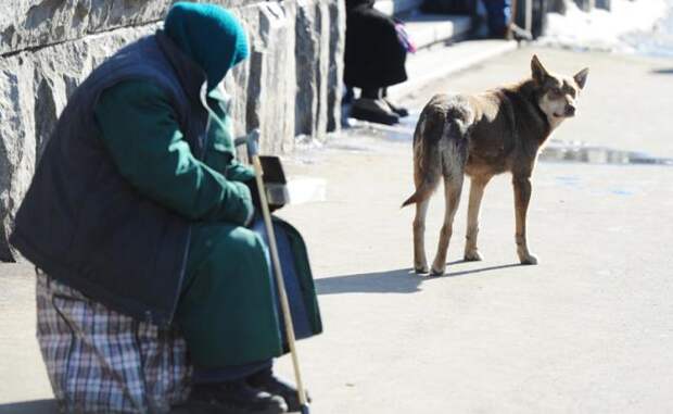 Указы Путина: Сеанс борьбы с бедностью с полным ее разоблачением