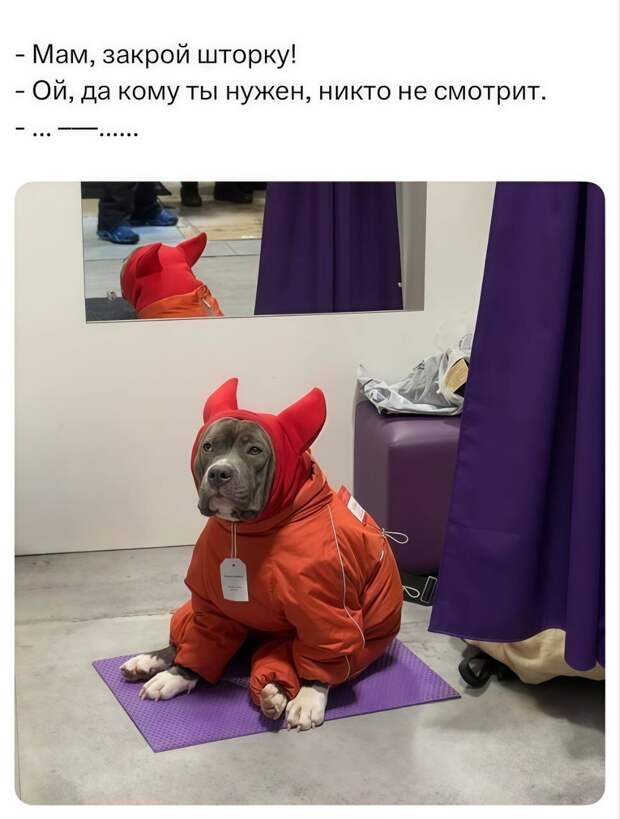 @psychology_funny  #юмор #смешное #приколы