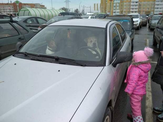 Подборка прикольных картинок