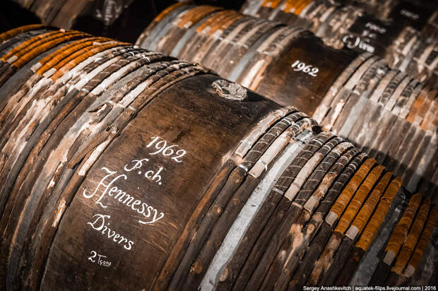 Коньячный рай Hennessy