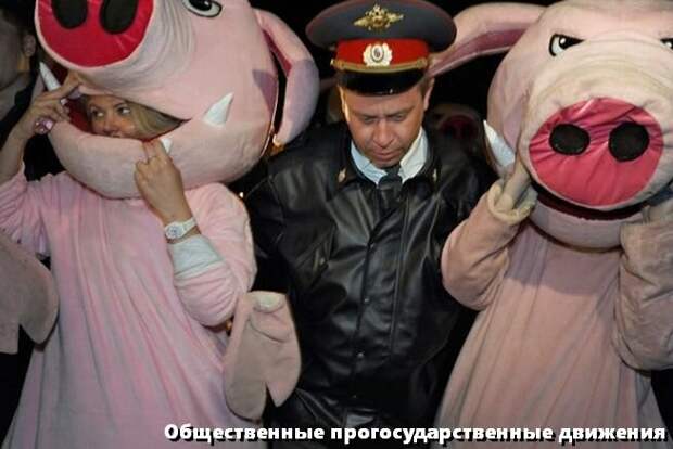 Иногда они увлекаются свинством и тогда их слегка поправляют. Совсем слегка.