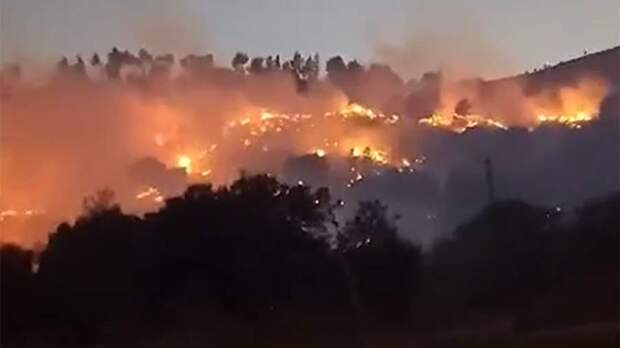 В Израиле призвали поджечь Ливан на фоне пожара из-за ударов «Хезболлы»