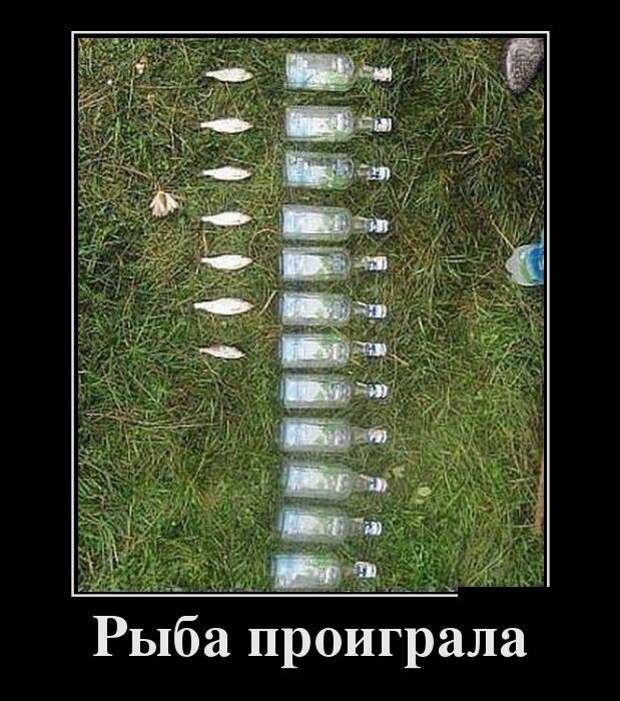 Демотиваторы демотиваторы, прикол, юмор