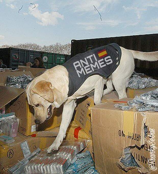 Мемы против испанской реформы
