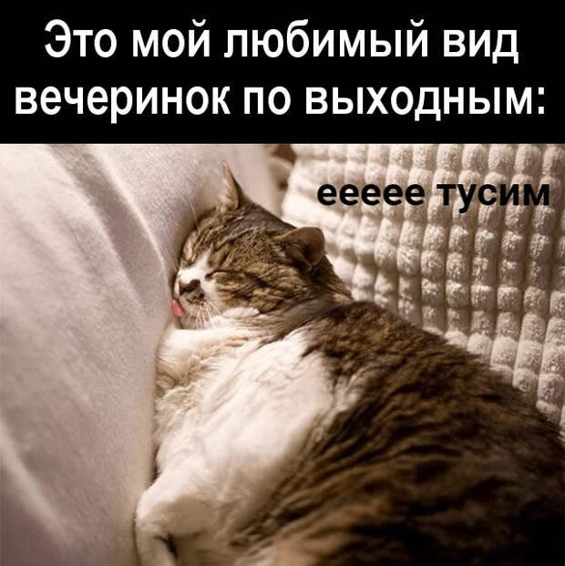изображение: Это мой любимый вид вечеринок по выходным: #Котоматрицы