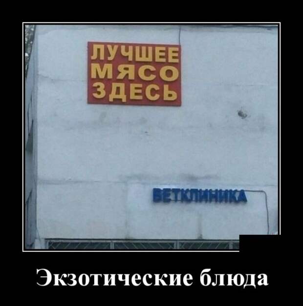 Демотиваторы (30 фото)
