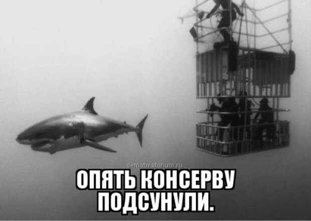 Новые прикольные фотомемы (28 шт)