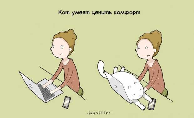 Преимущества жизни с котом