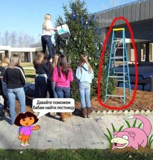 Похожее изображение